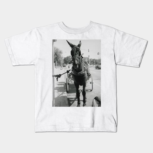 A Mule in New Orleans Kids T-Shirt by Reilly's Fine Art and Designs